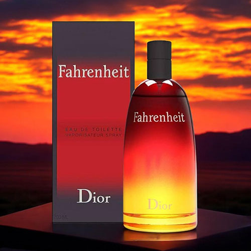 christian dior fahrenheit 200ml