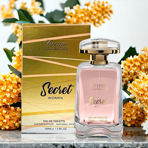 DREAM COLLECTION SECRET WOMEN EDT 100ML