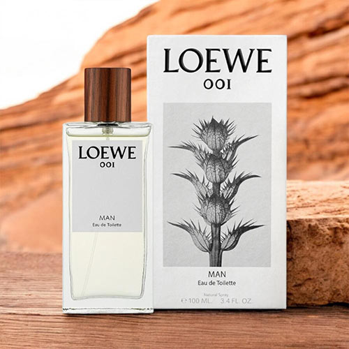 Man Loewe Edt Loewe Esencia Edp Men 100 Vpo New Format – Papique